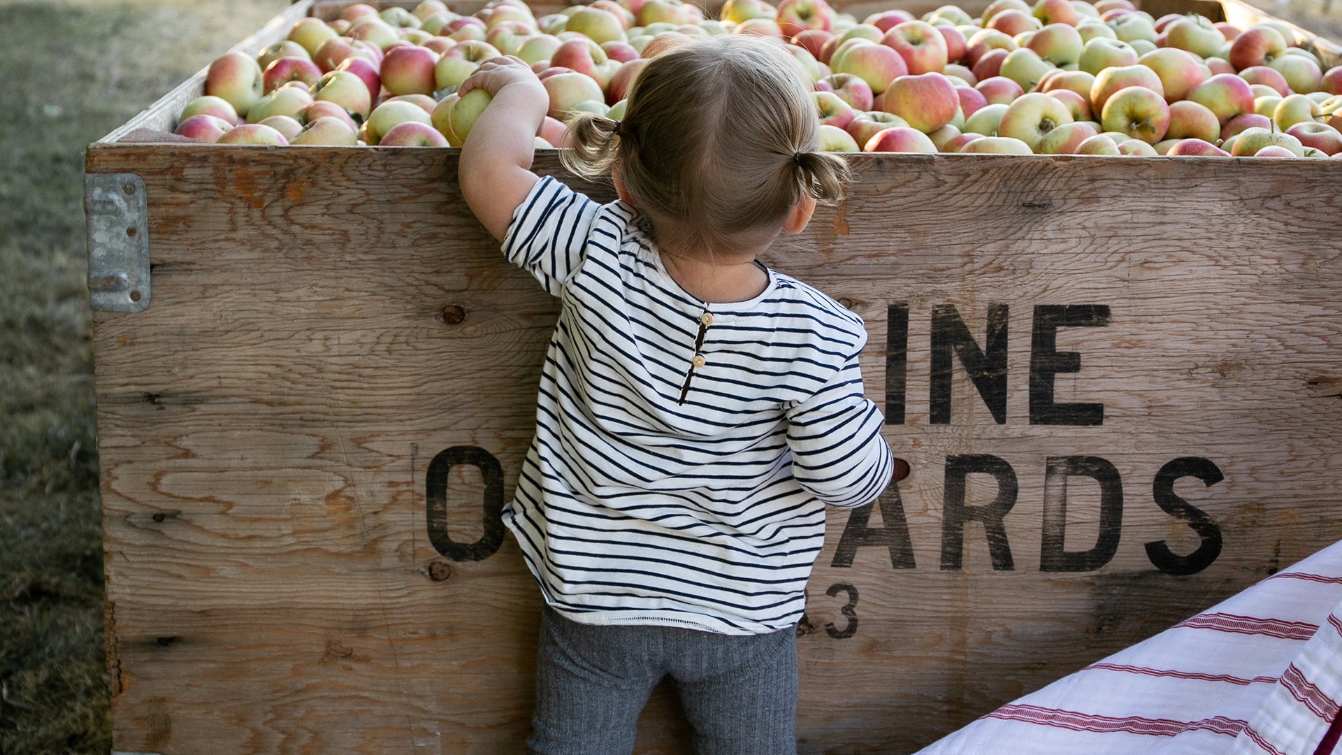 Our Favorite Fall Traditions
