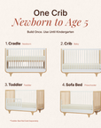 dadada Baby Jolly 3-in-1 Convertible Crib