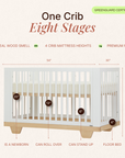 dadada Baby Spirit 8-in-1 Convertible Crib