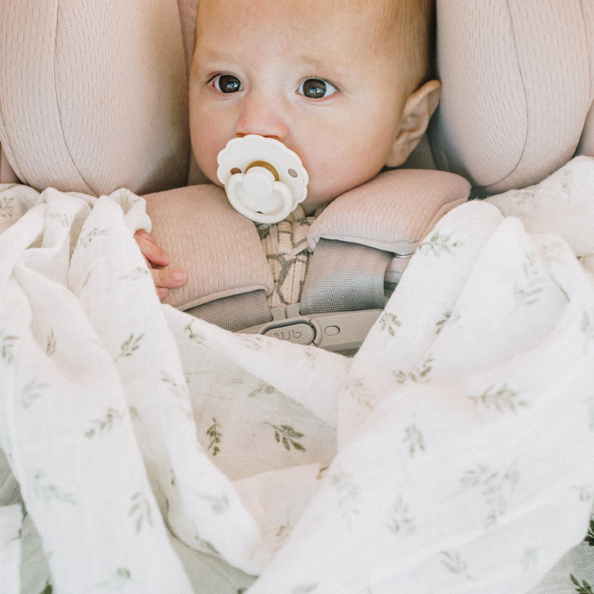 Organic Cotton Muslin Swaddle Blanket - Olive Branch
