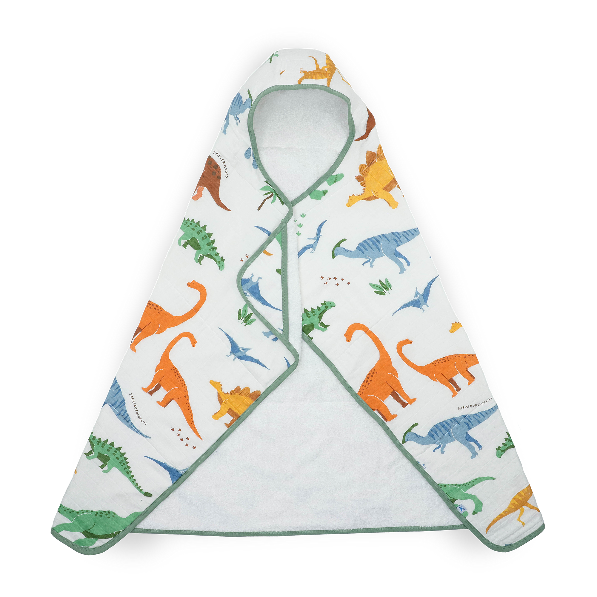 Toddler Hooded Towel - Dino Names