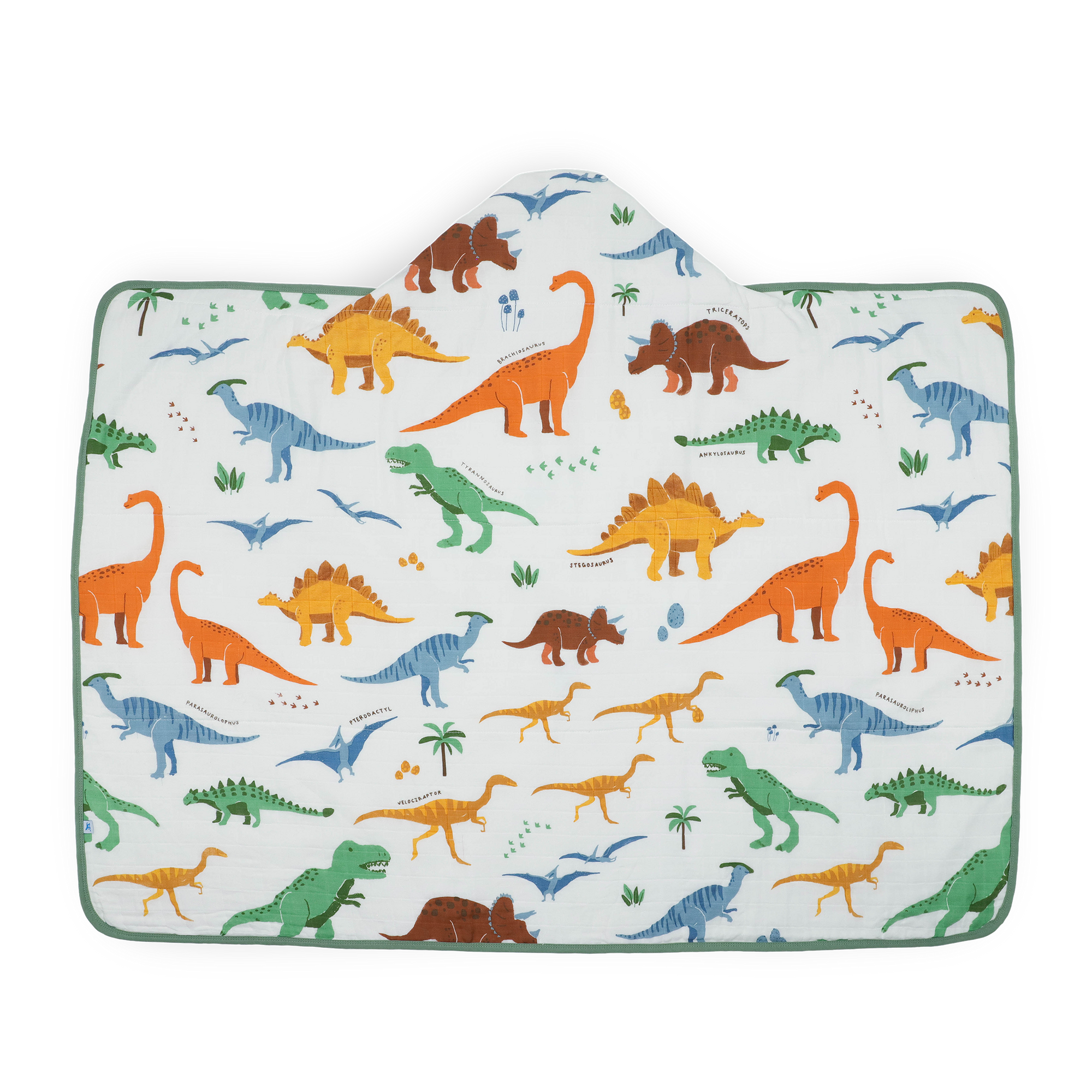 Toddler Hooded Towel - Dino Names