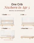 dadada Baby Bliss 4-in-1 Convertible Crib