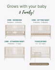 dadada Baby LaLa 3-in-1 Convertible Crib