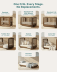 dadada Baby Spirit 8-in-1 Convertible Crib