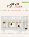 dadada Baby Spirit 8-in-1 Convertible Crib
