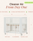 dadada Baby Spirit 8-in-1 Convertible Crib