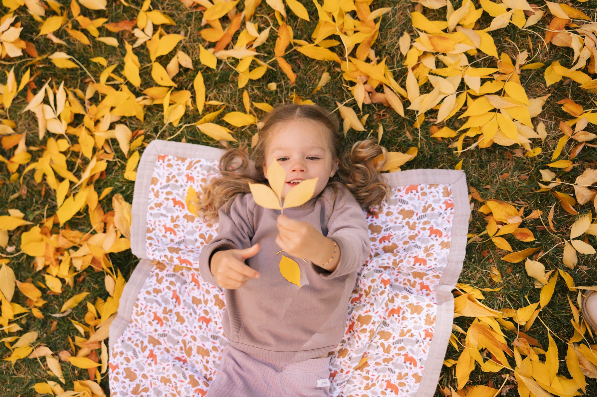 Fall Flash Sale