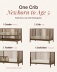 dadada Baby LaLa 3-in-1 Convertible Crib