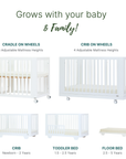 dadada Baby Spirit 8-in-1 Convertible Crib