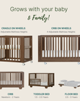 dadada Baby Spirit 8-in-1 Convertible Crib