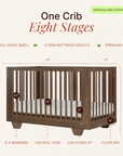 dadada Baby Spirit 8-in-1 Convertible Crib