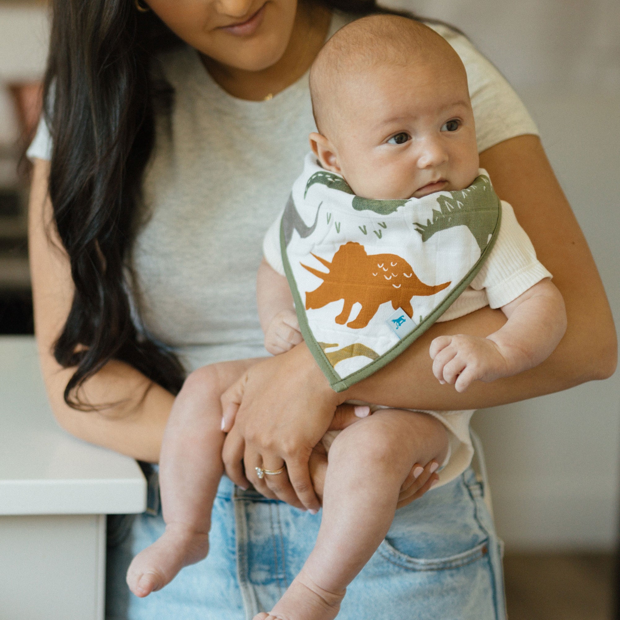 Cotton Muslin + Fleece Bandana Bib 4 Pack - Dino Friends