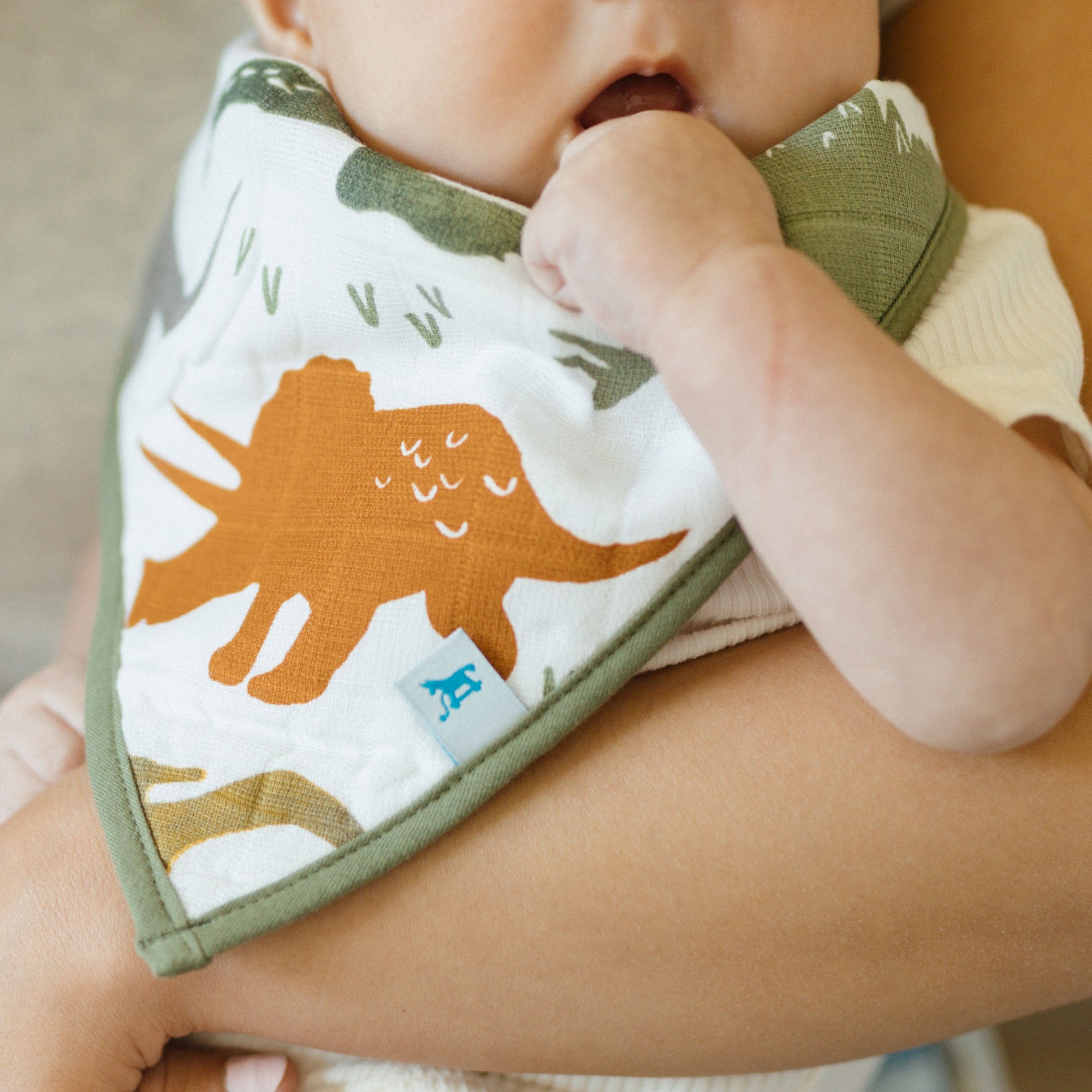 Cotton Muslin + Fleece Bandana Bib 4 Pack - Dino Friends