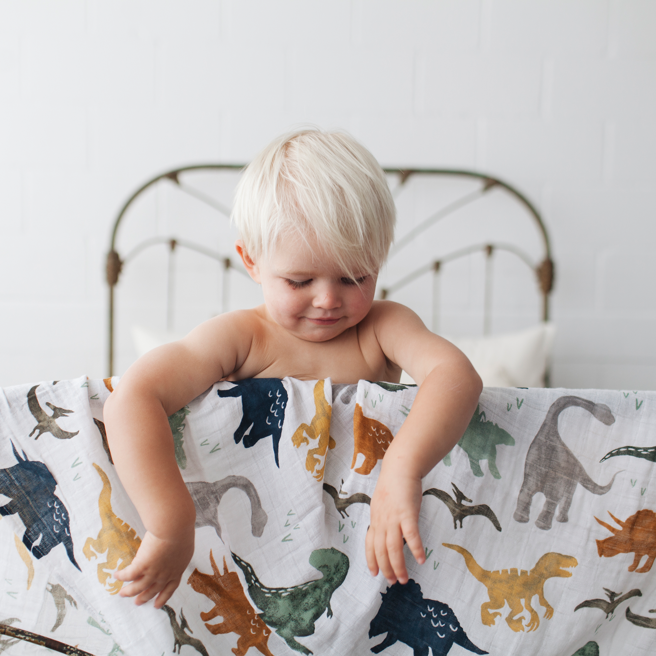 Dinosaur 2024 baby swaddle