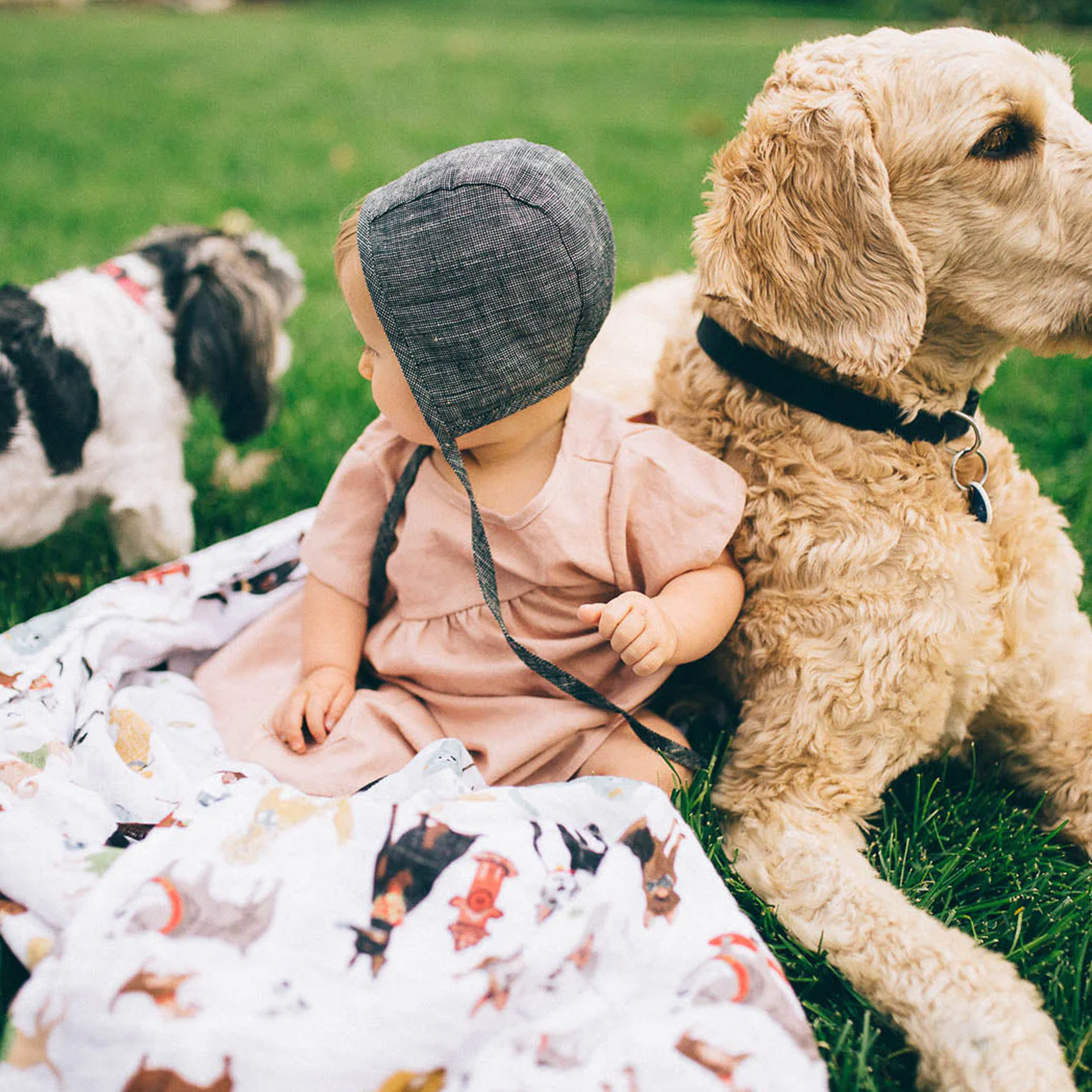 Little unicorn woof deals swaddle