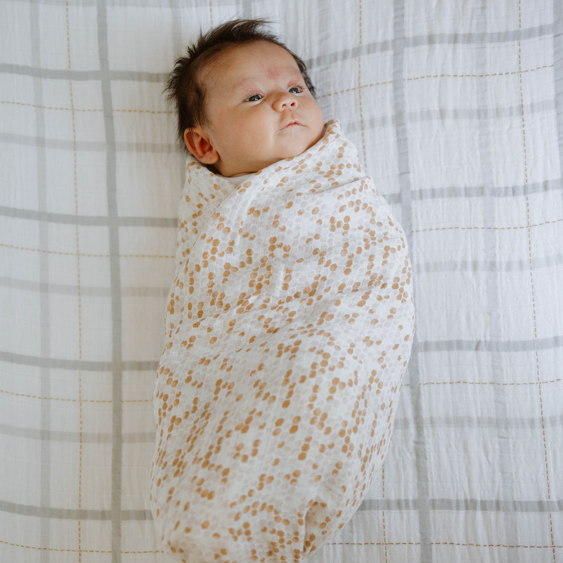 Little Seeds Baby Swaddle Blanket 0-3 Months 100% Organic Cotton