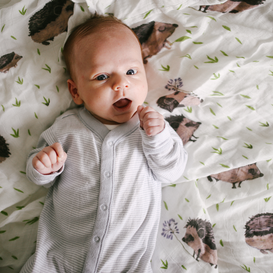 Deluxe Muslin Rayon From Bamboo Swaddle Baby Blanket Hedgehog
