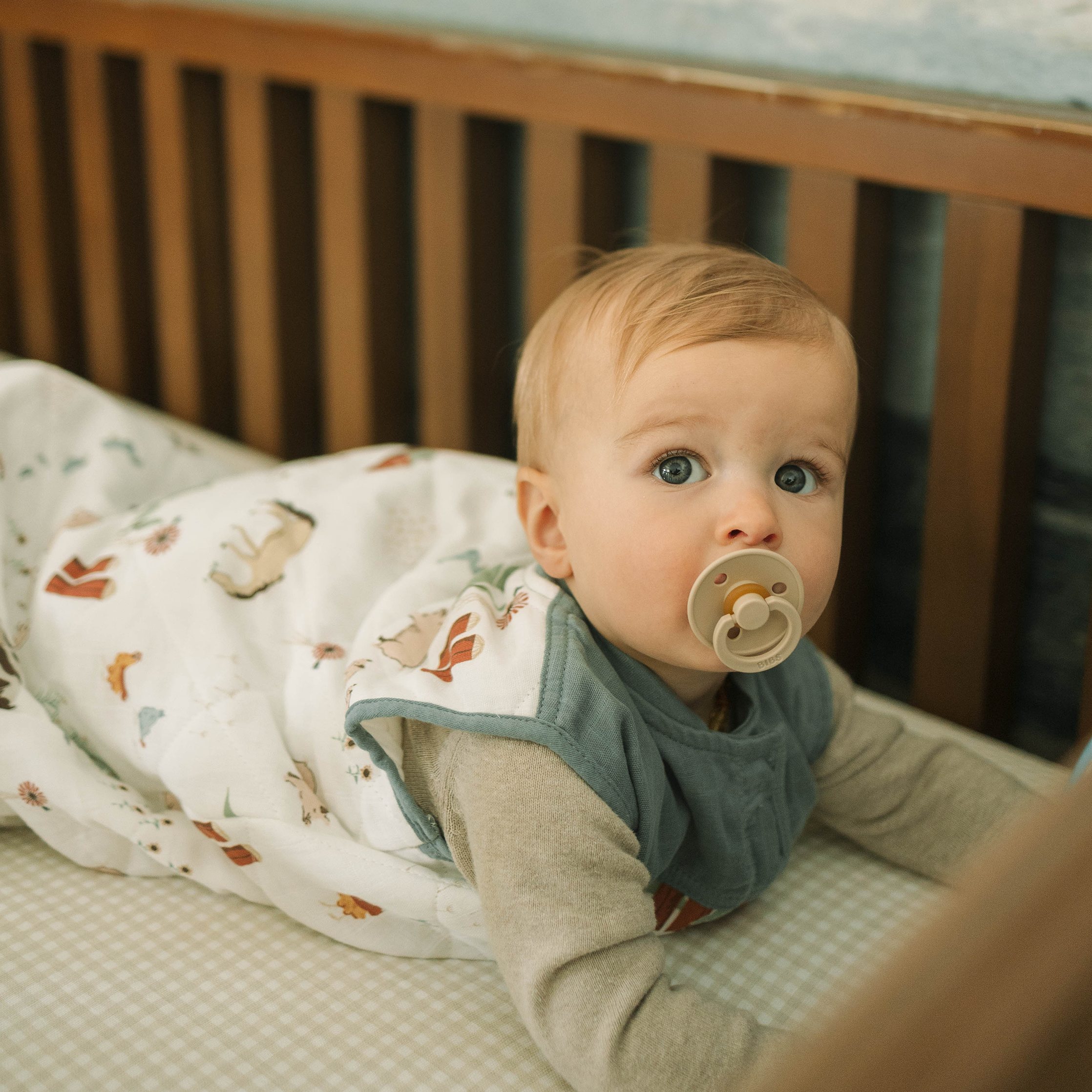 Cotton Muslin Quilted Sleep Bag Farmyard Little Unicorn USA