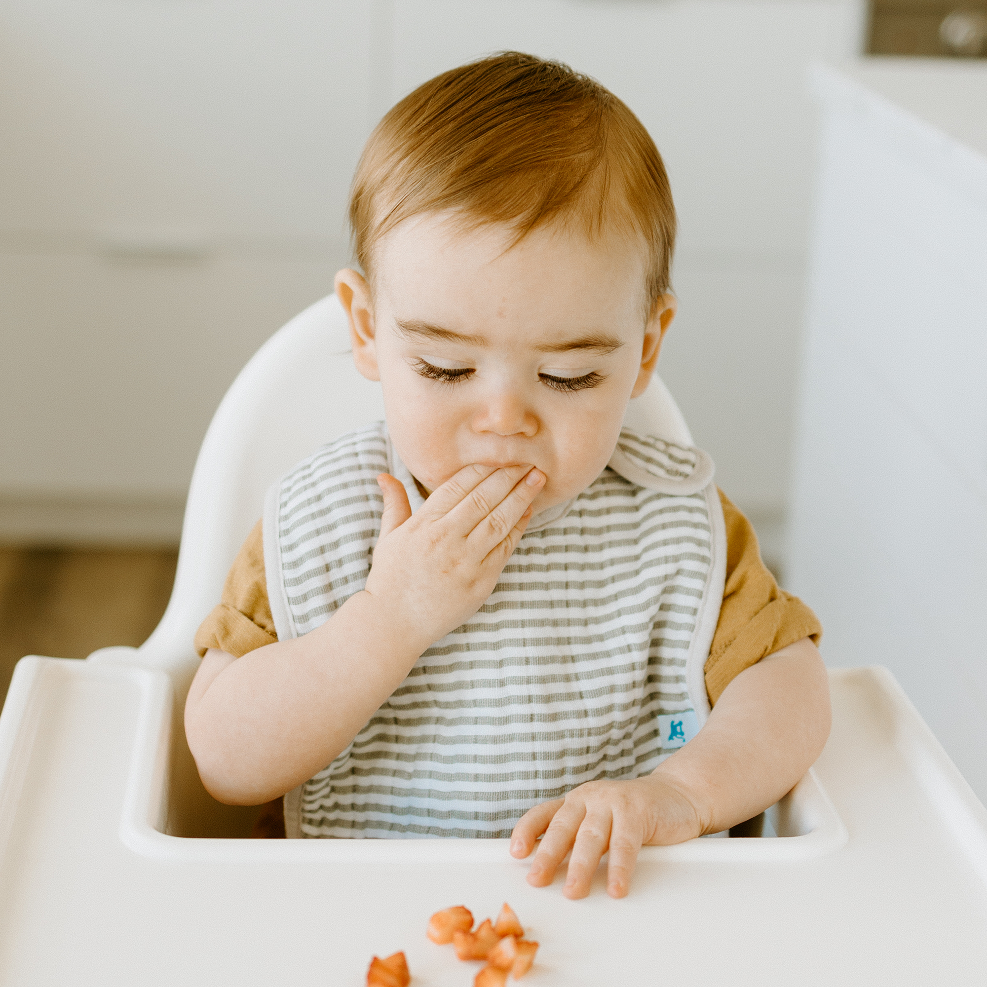 Cotton Muslin Classic Bib 3 Pack - Forest Friends 2