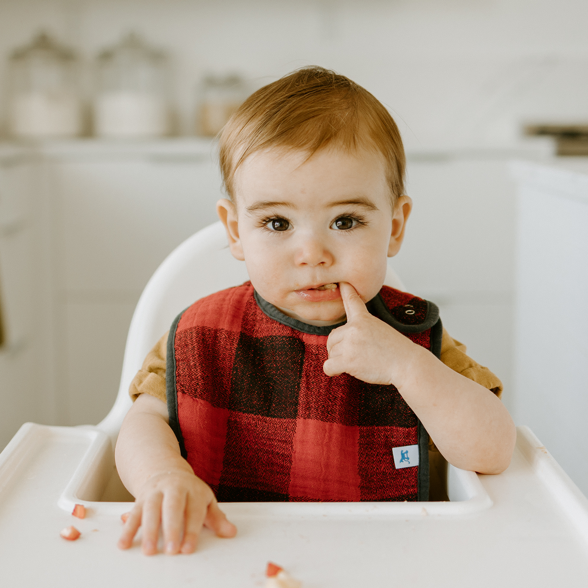 Cotton Muslin Classic Bib 3 Pack - Woof