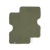 Fern
