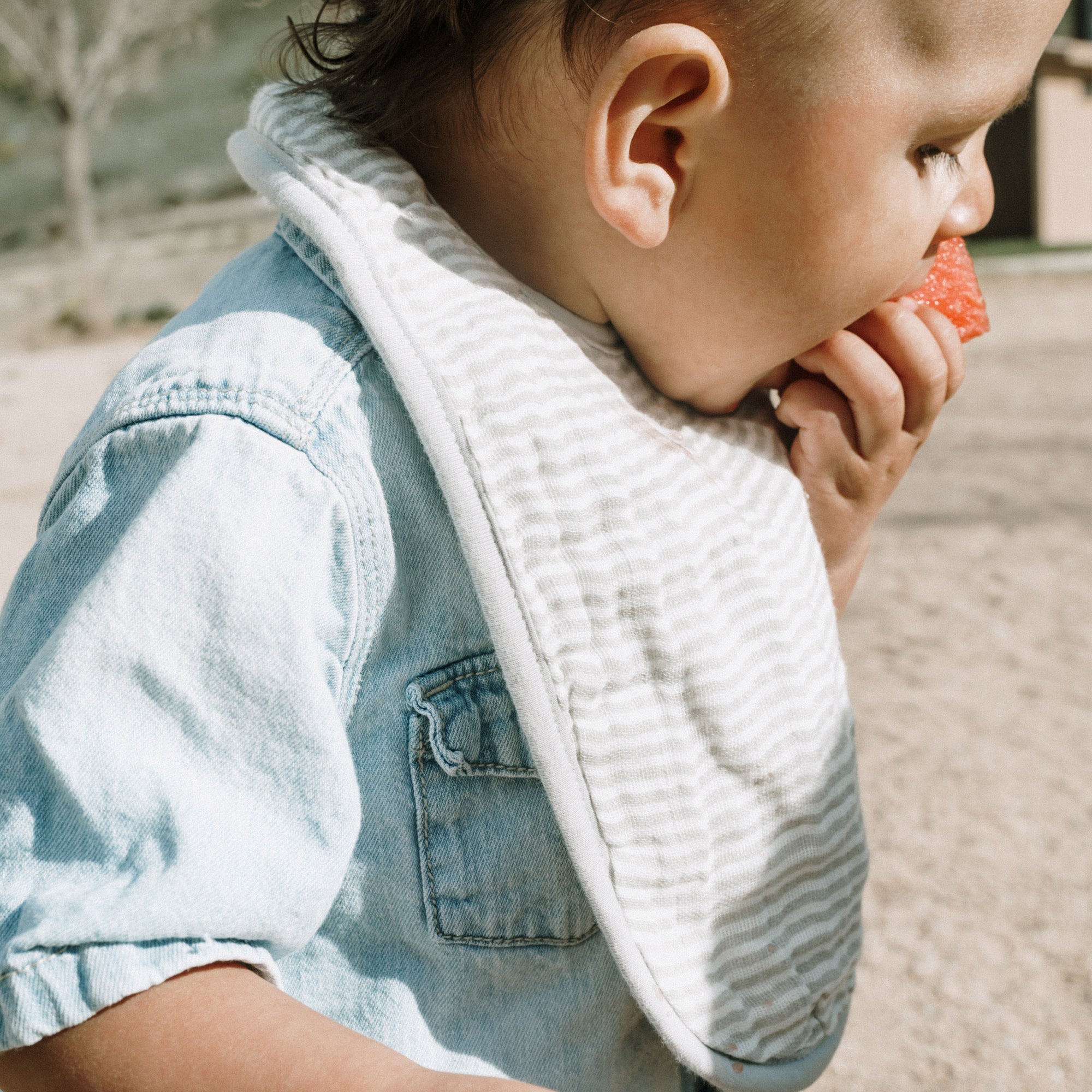 Organic Cotton Muslin Classic Bib 3 Pack - Rosie