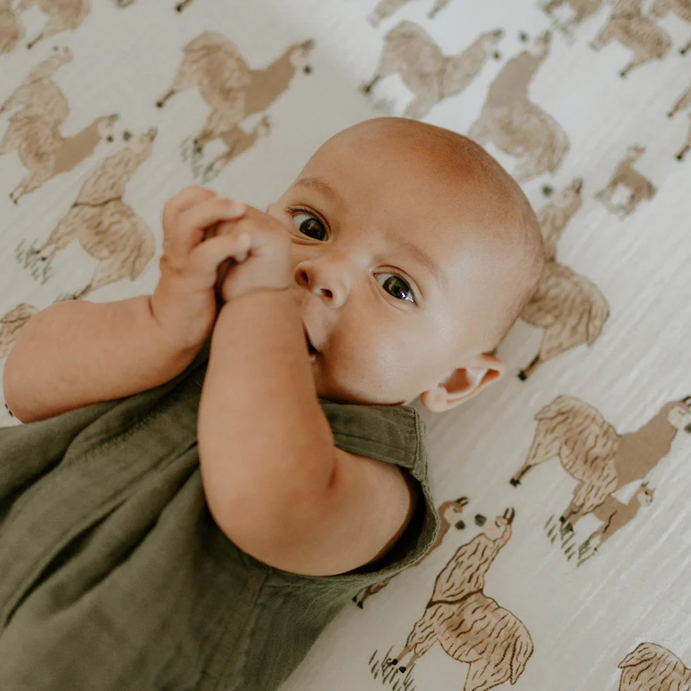 Little llama crib bedding sales