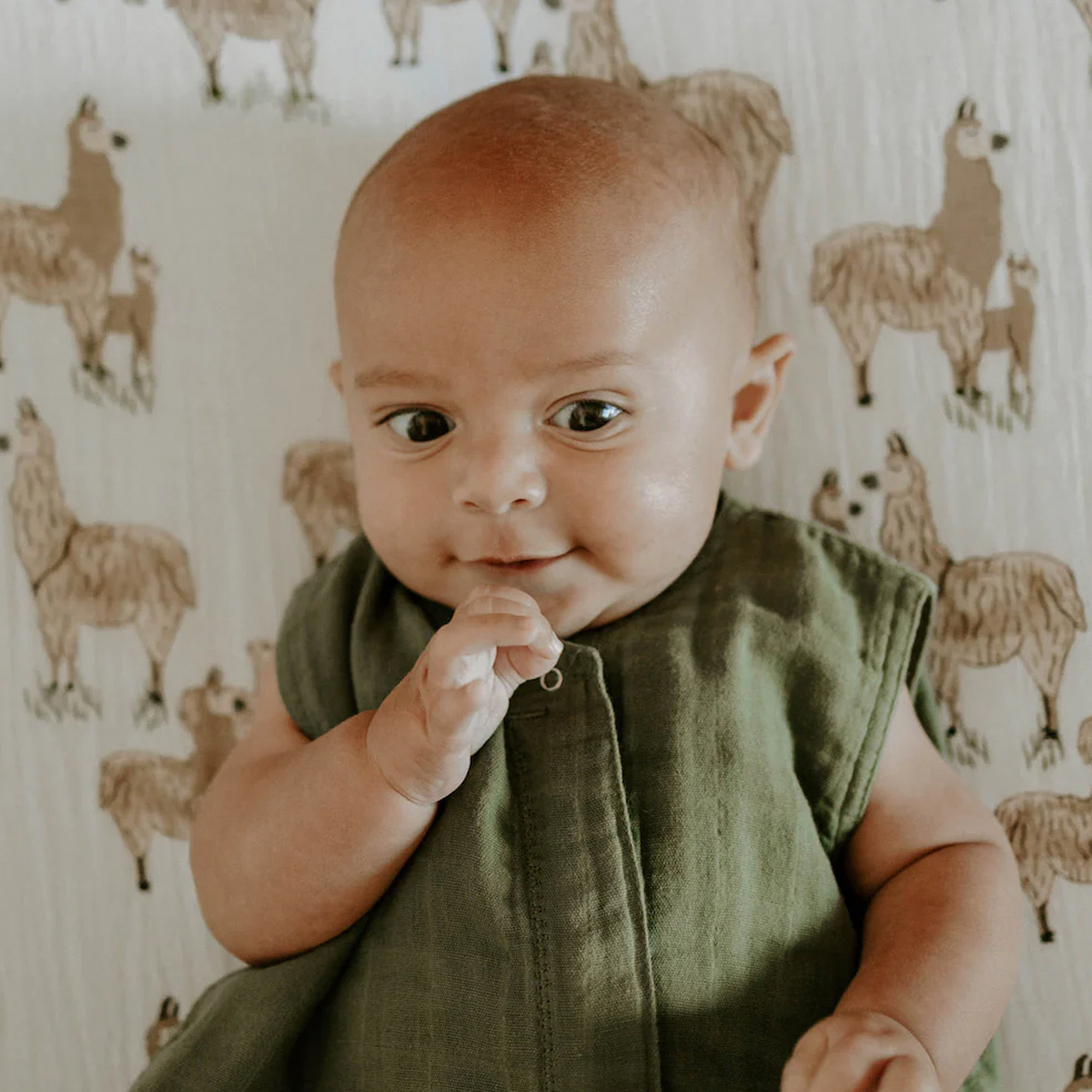 Cotton Muslin Crib Sheet - Llama Llama