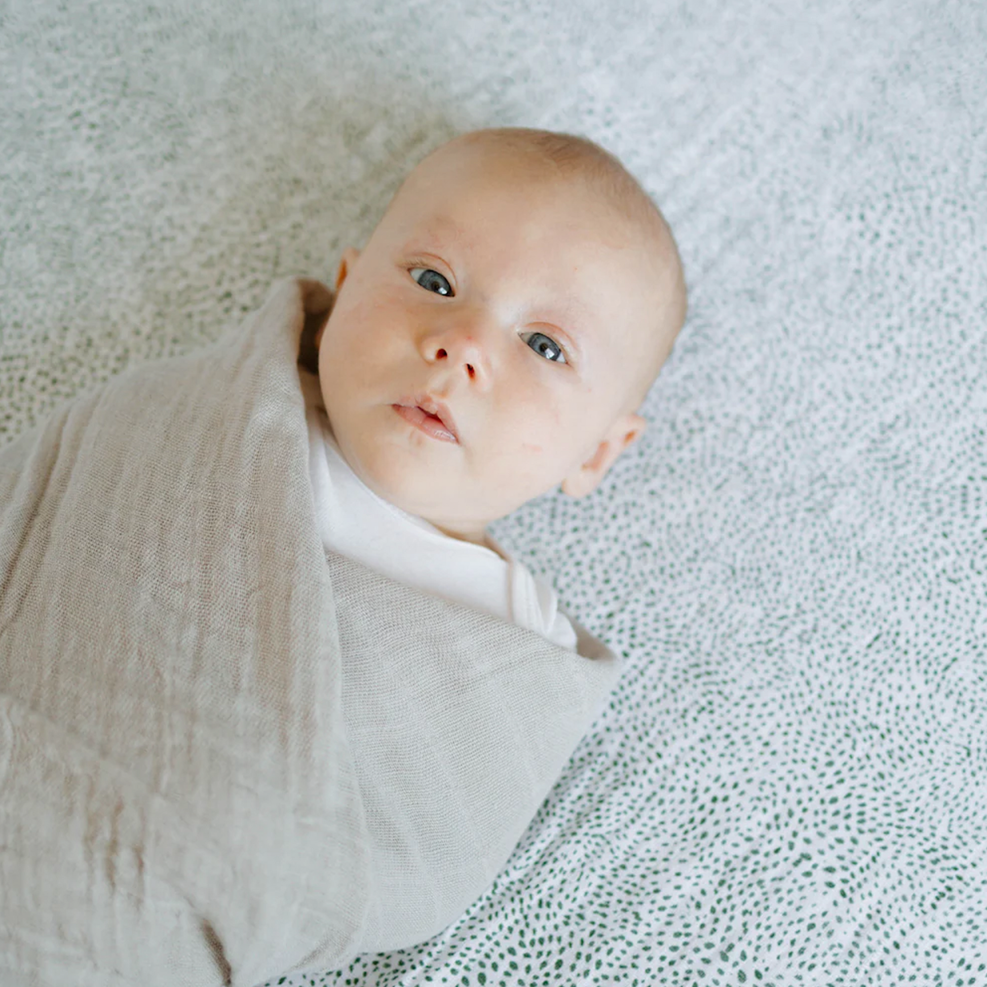 Cotton Muslin Crib Sheet - Green Seed