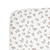 Micro Cheetah