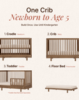 dadada Baby Bliss 4-in-1 Convertible Crib