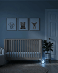 dadada Baby LaLa 3-in-1 Convertible Crib