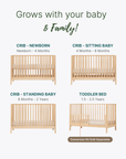 dadada Baby LaLa 3-in-1 Convertible Crib