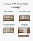 dadada Baby LaLa 3-in-1 Convertible Crib