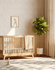 dadada Baby Soho 3-in-1 Convertible Crib