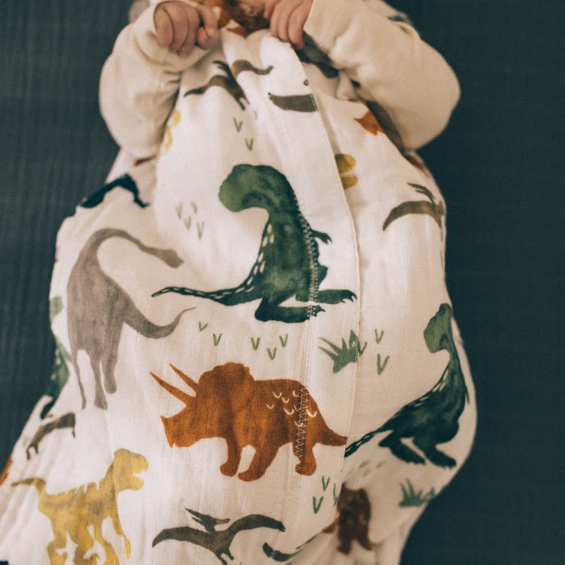 Dinosaur sleeping best sale bag baby