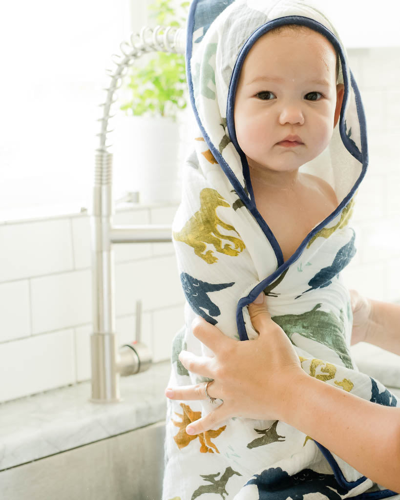 Infant Hooded Towel &amp; Washcloth Set - Dino Friends